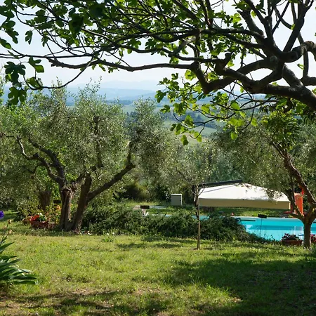 Cassiani Fiorenzuola di Focara